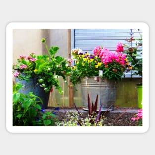 Rustic Vintage Flowerpot Photo Print Sticker